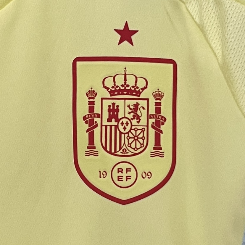 2024 Spain RODRIGO #16 Euro Cup Away Football Jersey - view 11