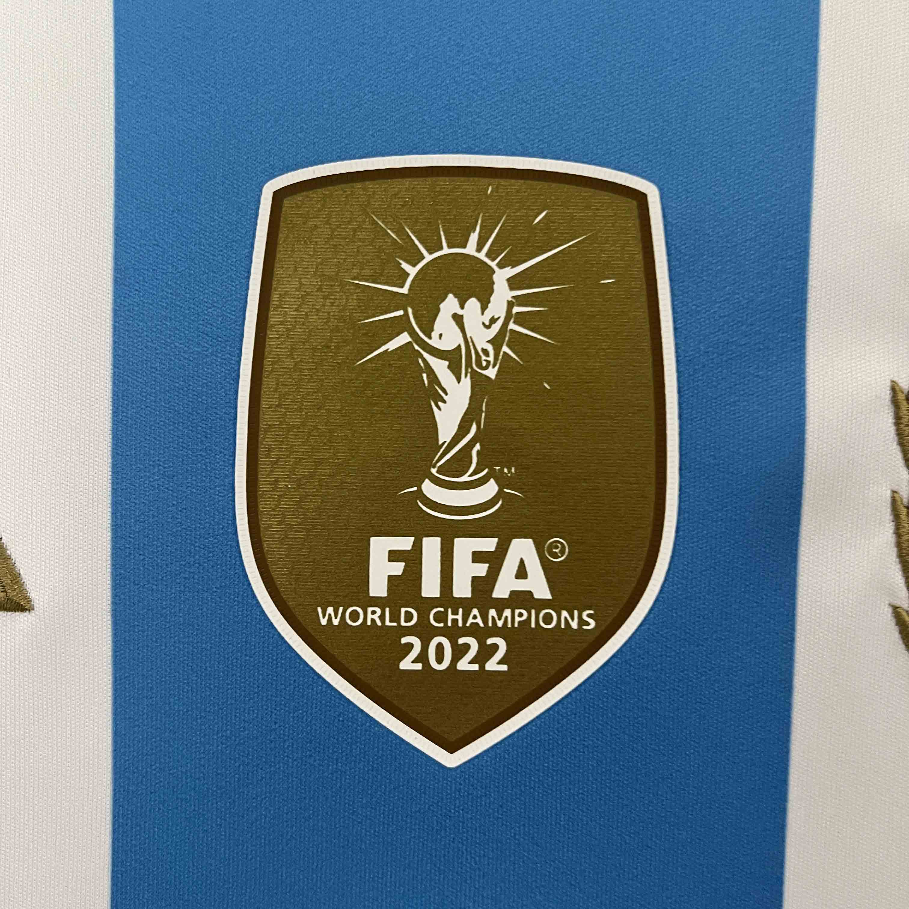 2023/24 Argentina Copa America Home Soccer Jersey - view 8