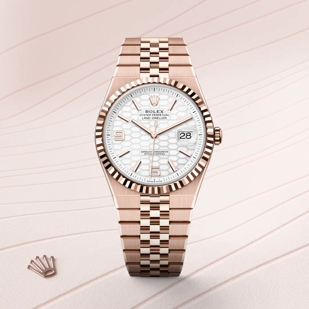 Rolex Land-Dweller 36 Intense White - gallery