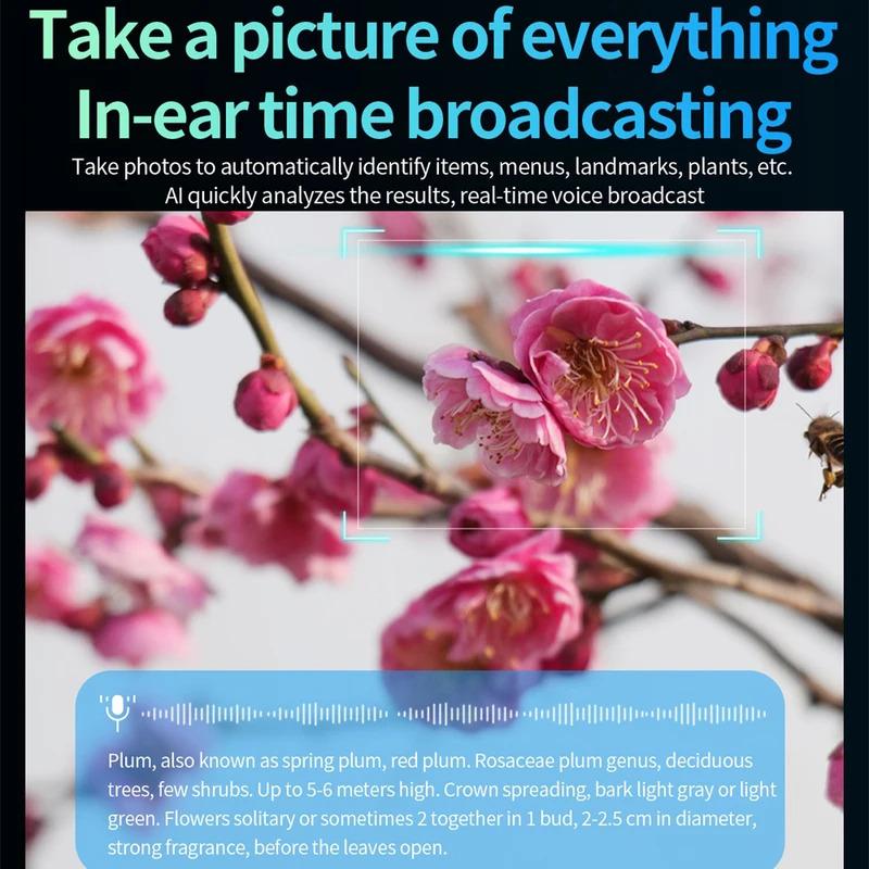 Women AI Smart Glasses 800W HD Camera Anti Blue Light The Map Translation Video Call Take Photos UV Protection Sunglasses Men