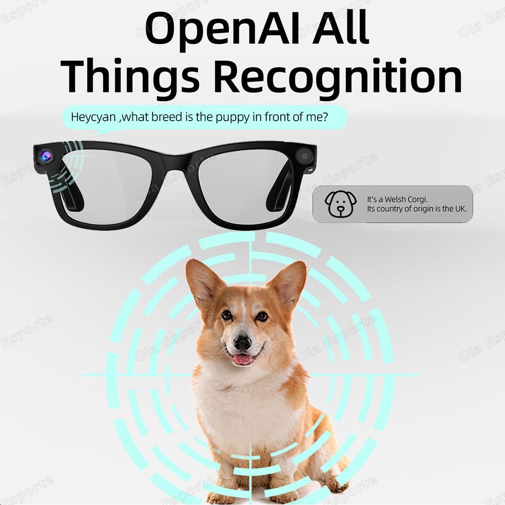 Why Smart Glasses, AI, HD Camera, LED Light, Smart Navigation, Bluetooth Calling, Meeting Video Recording, Outdoor Sports Sunglasses, New is Changing the Game in 2024